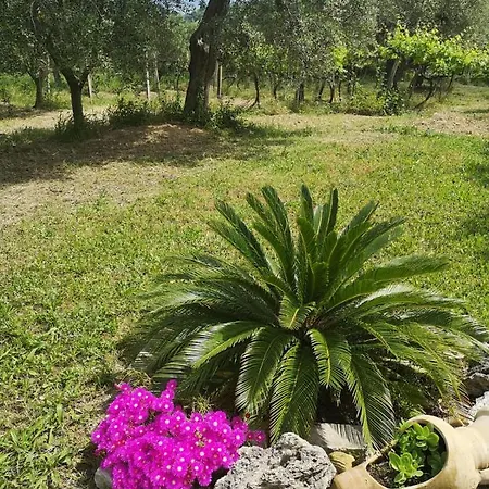 Stella Dell'adriatico Bed & Breakfast 3*