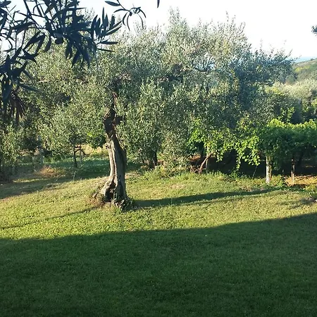 Stella Dell'adriatico Bed & Breakfast 3*