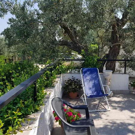 Stella Dell'adriatico