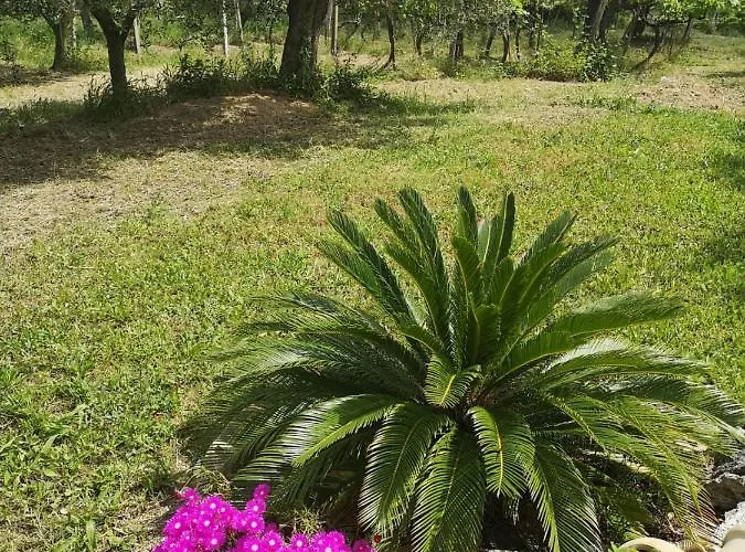 Stella Dell'adriatico Panzió 3*