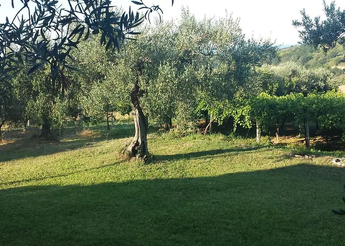 Stella Dell'adriatico Panzió 3*