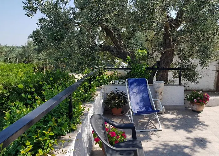 Stella Dell'adriatico