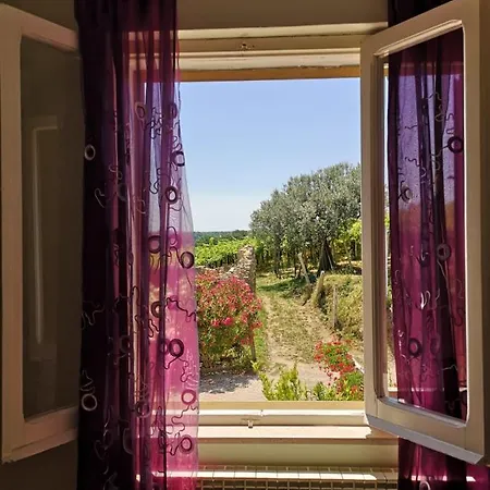 Stella Dell'adriatico 3*