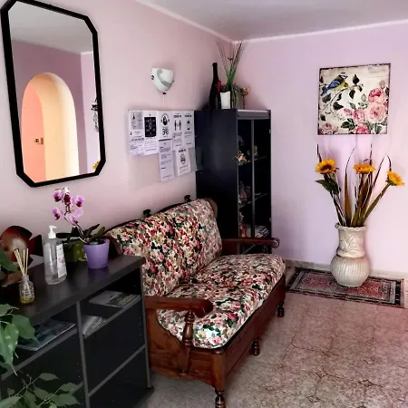 Stella Dell'adriatico