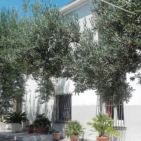 Stella Dell'adriatico * Ortona