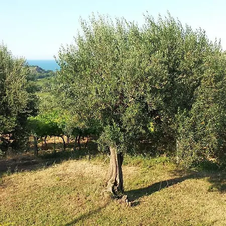 Stella Dell'adriatico 3* オルトーナ