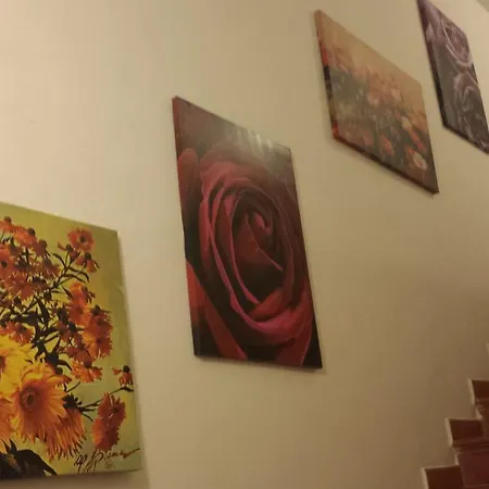 Stella Dell'adriatico Bed & Breakfast Ortona