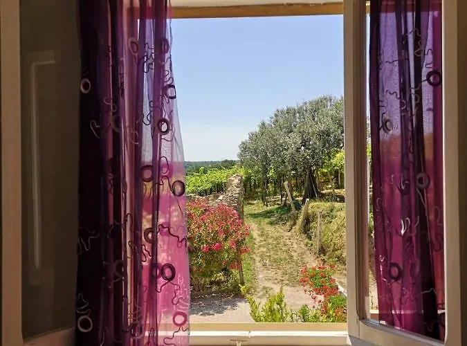 Stella Dell'adriatico 3*