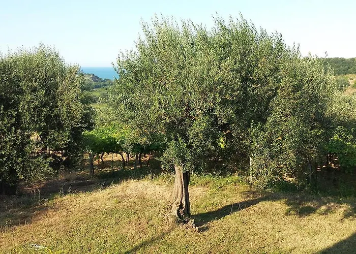 Stella Dell'adriatico 3* Ortona